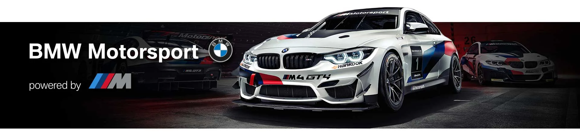 BMW-Banner_Smaller