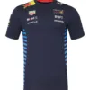 Red bull team tee shirt 2024, sky blue, Mens